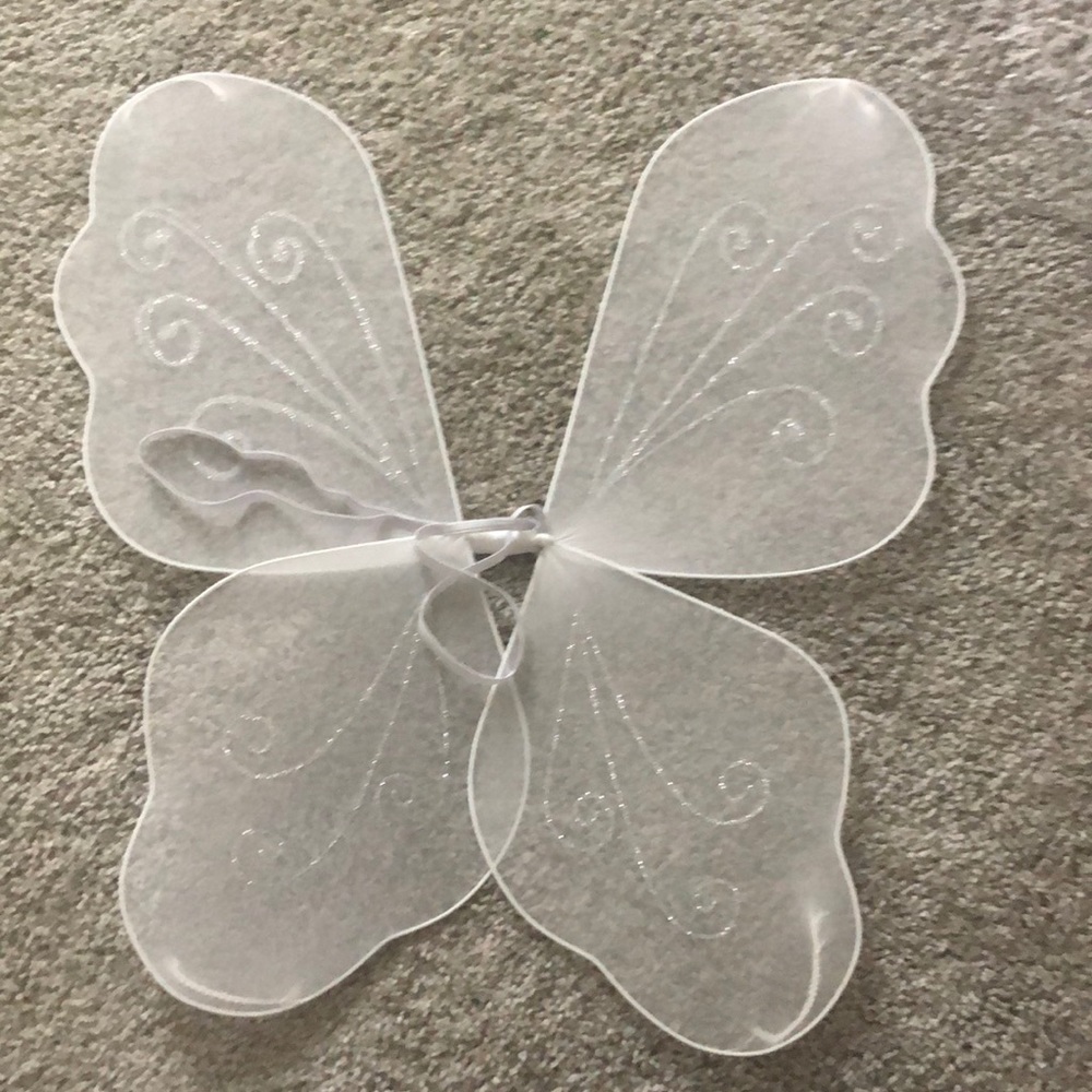 Fairy wings